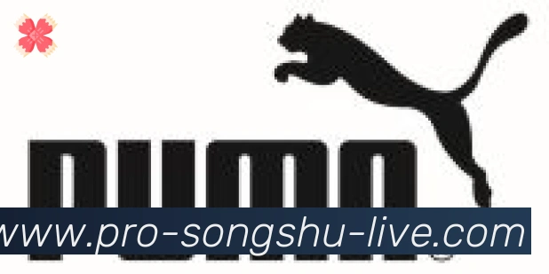 松鼠直播合作伙伴